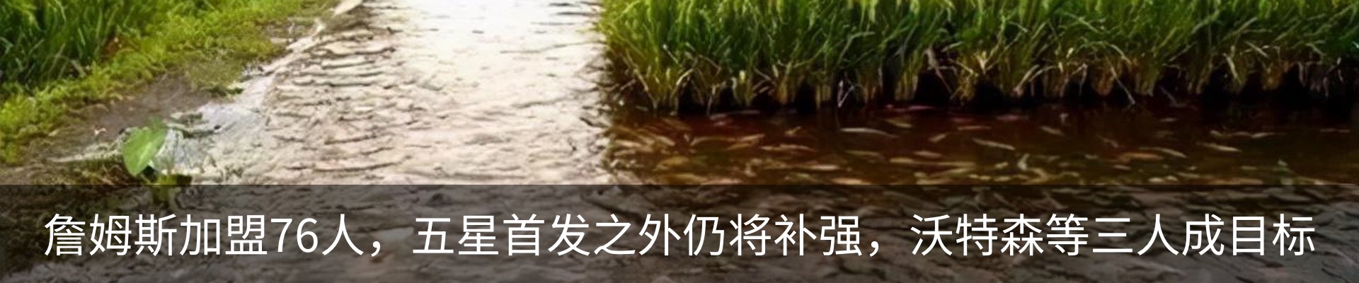资讯中心